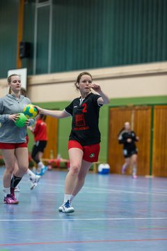 Bild 95 - Frauen HSG Krem/Muensterdorf - HG OKT 3 : Ergebnis: 33:21